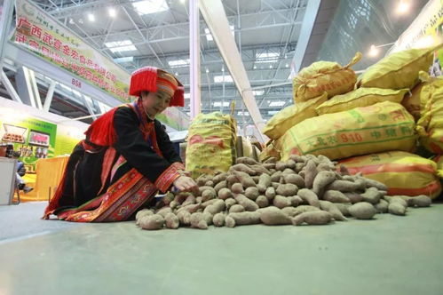 2019柳州農(nóng)博會(huì) 萬種珍品薈萃，盡顯現(xiàn)代農(nóng)業(yè)風(fēng)采